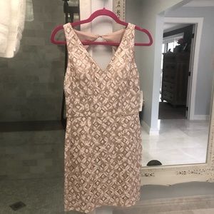 Hailey Adrianna Papell sequined lace dress size 2